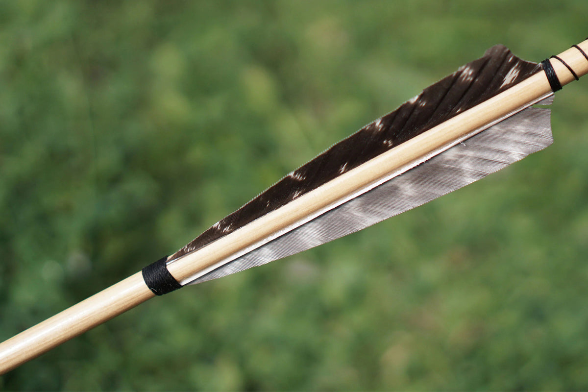 Brief Historical Past Of Archery Games