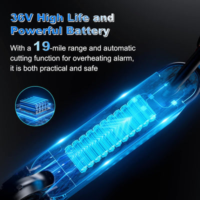 Roinside Electric Scooter - 350W Motor, 8.5