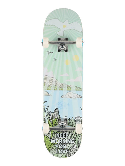 Push Jon Horner Guest Artist Complete Skateboard 8.25 x 32 - image 1