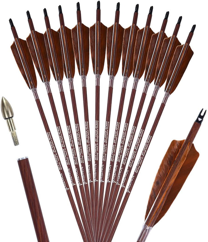 PANDARUS Archery 31-Inch Carbon Hunting Arrows, 4-Inch Turkey Feather Fletching with Replaceable Points, Targeting Practice Arrows Spine 500 for Recurve & Traditional Bows